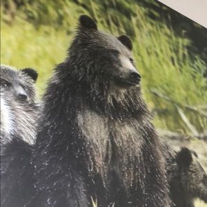 Meet your Posher, Stacey